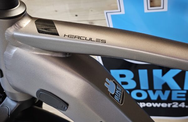 Hercules Robert Pro I-R5 Bosch Performance 75Nm Gates Riemen 150kg Riesig – Bild 4